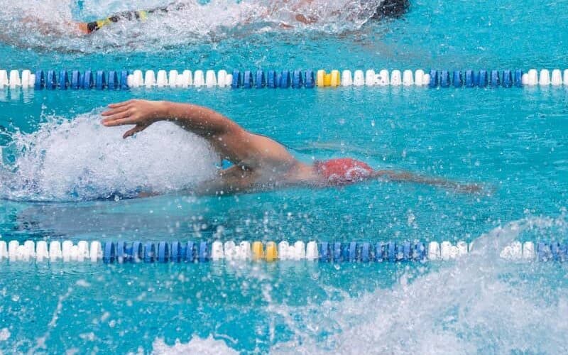 person swimming in the pool